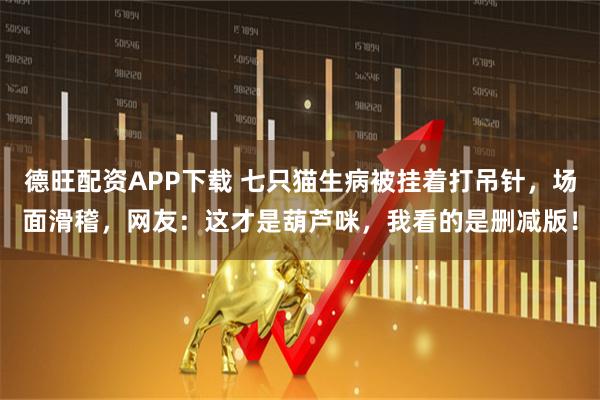 德旺配资APP下载 七只猫生病被挂着打吊针，场面滑稽，网友：这才是葫芦咪，我看的是删减版！