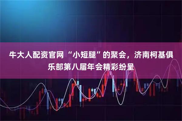 牛大人配资官网 “小短腿”的聚会，济南柯基俱乐部第八届年会精彩纷呈