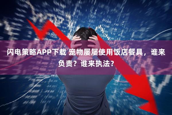 闪电策略APP下载 宠物屡屡使用饭店餐具，谁来负责？谁来执法？